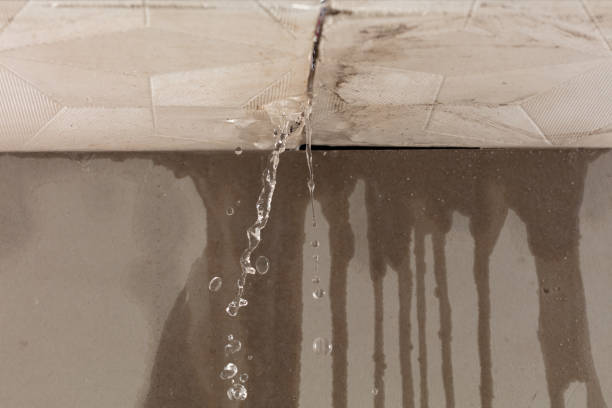 Professional Structural Drying technician working in Goffstown, NH